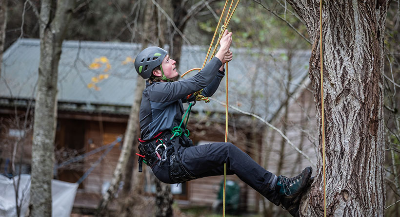Forestry student climbing Forestry student climbing