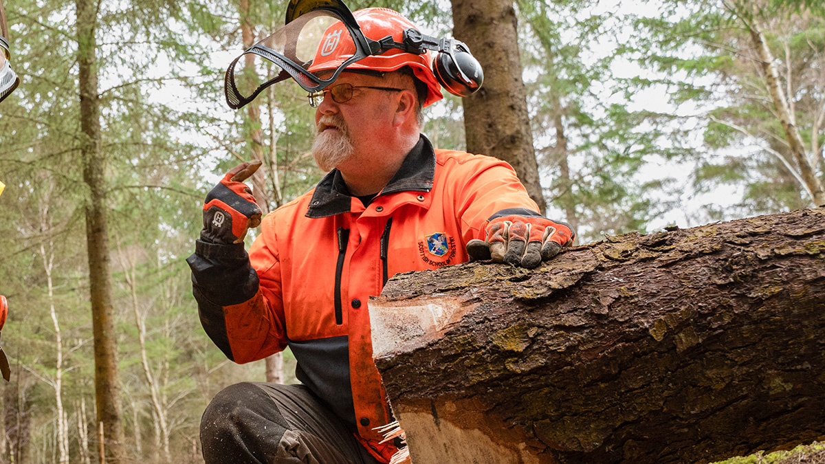 Neil Stewart sitting by a fallen tree wearing safety equipment