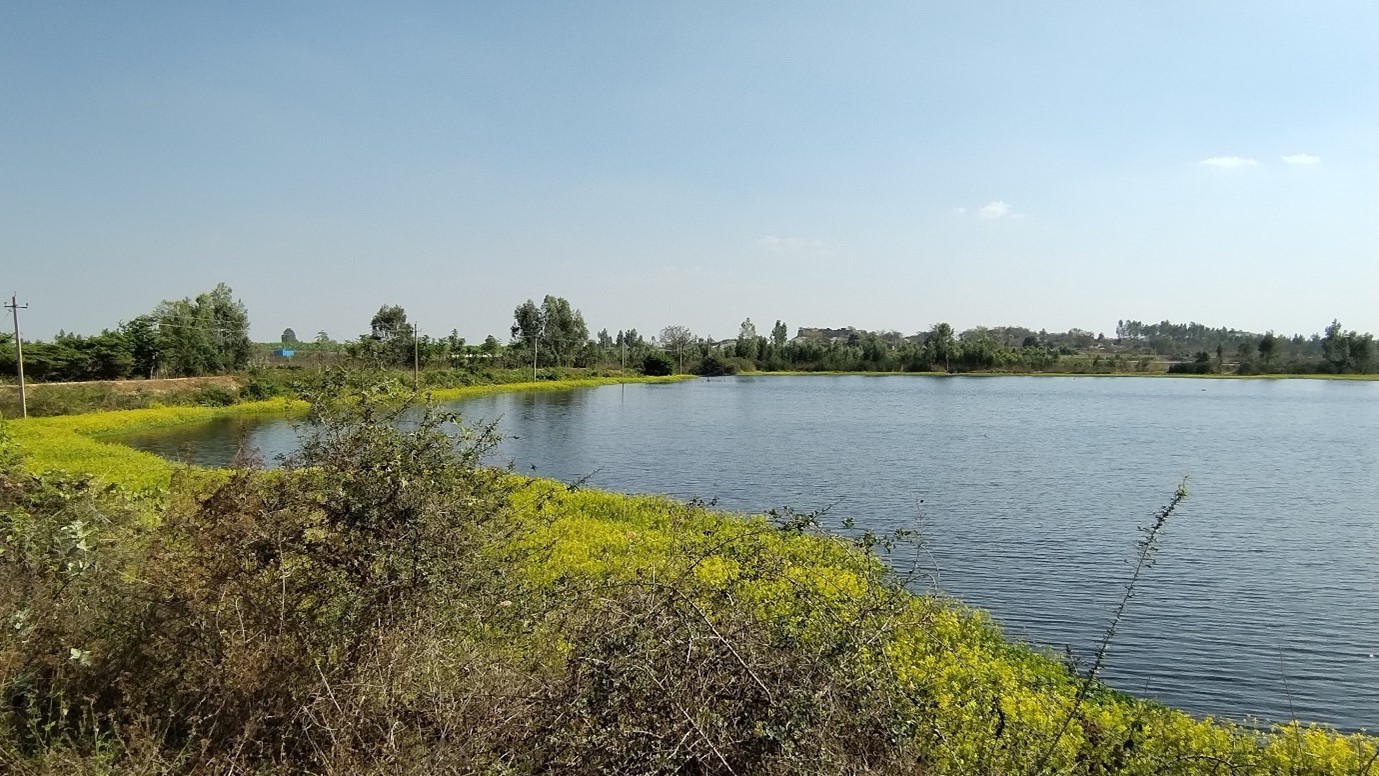 Picture of a lake in India