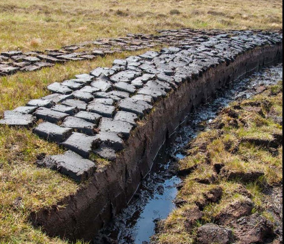 Picture showing peat which has been dug from field