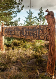 Sign to Abriachan forest