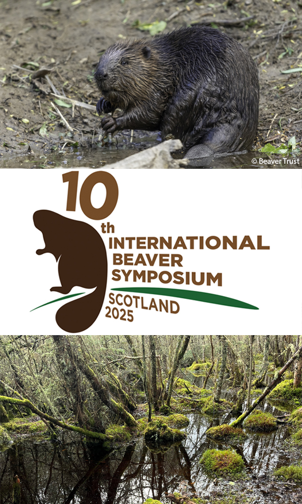 Beaver Symposium