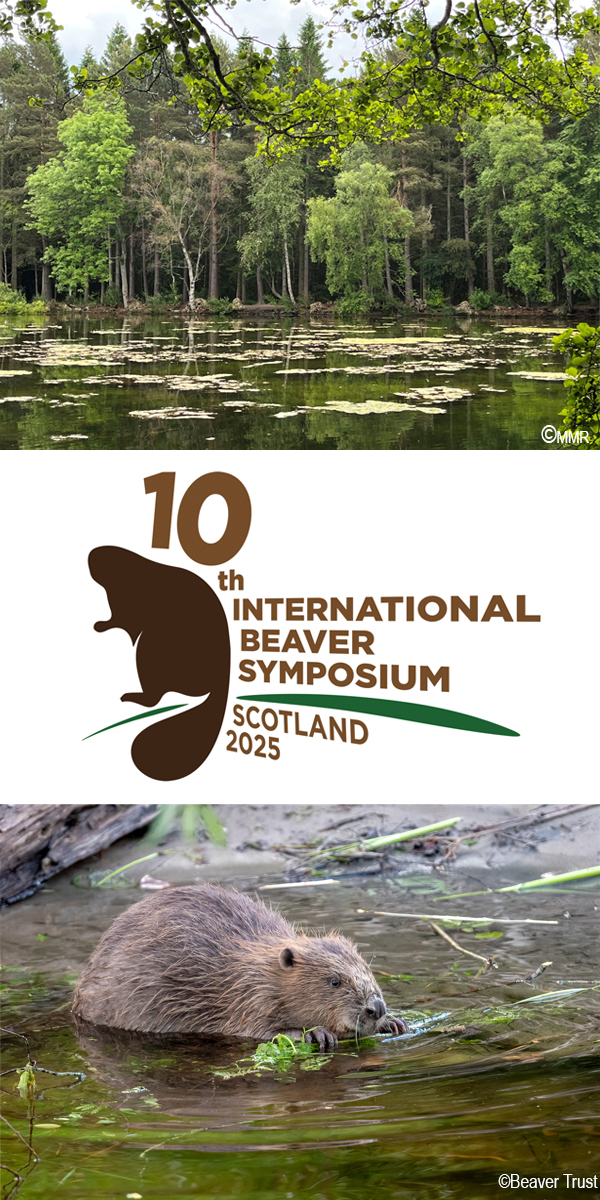 10th Beaver Symposium logo